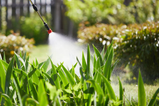 24/7 Emergency Mosquito Control experts in Monroe, WA