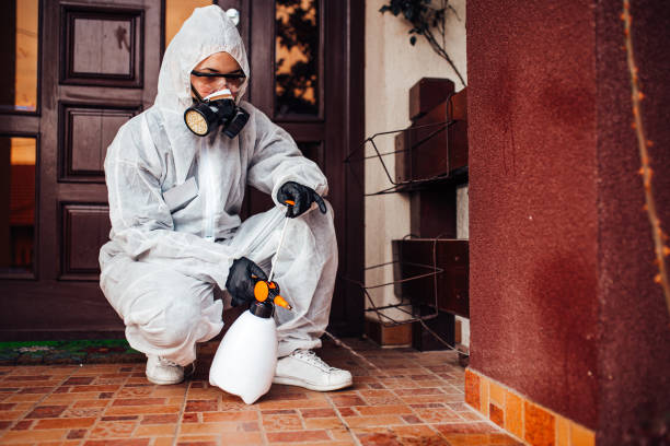 Reliable Mosquito Control contractor in Monroe, WA by Nex Pest Control