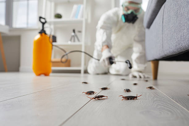 Trusted Mosquito Control service in Monroe, WA - Nex Pest Control