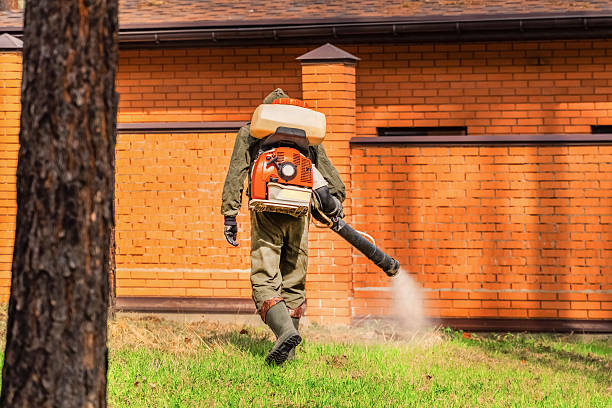 Trusted Ant Control service in Monroe, WA - Nex Pest Control